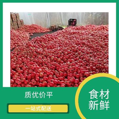 東莞蔬菜配送服務 保障新鮮蔬菜批發的關鍵環節
